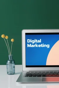 Website development cost USA