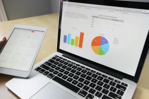 Website development cost USA